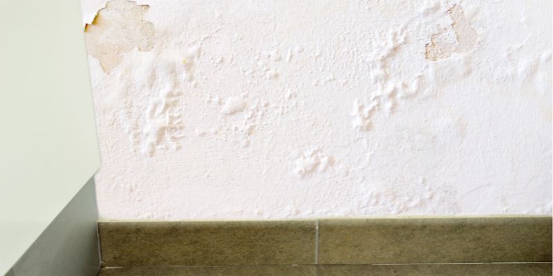 Como Detectar Vazamento de Água Dentro da Parede em Ananindeua: Confira 5 Dicas vazamaneto de água dentro da parede